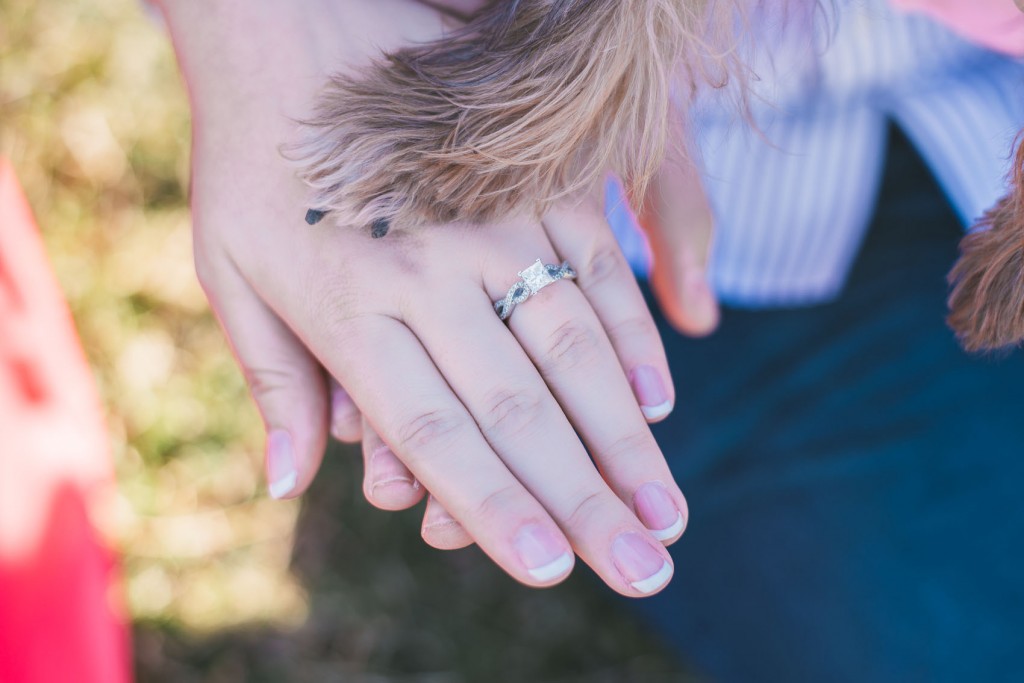 Tom Studios Engagement Session at Proctor Park in Utica