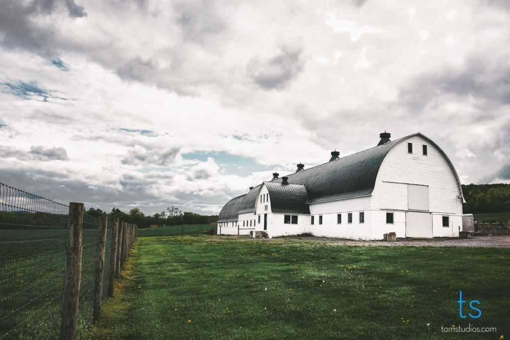 Valeri and Dillon's wedding with Tom Studios at MKJ Farm