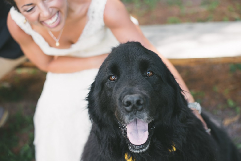 Shauna and Steve's wedding at MKJ Farm with Tom Studios