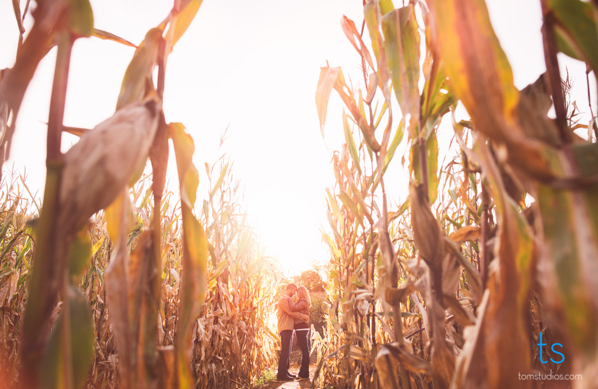 Tom Studios Engagement Session at North Star Orchards