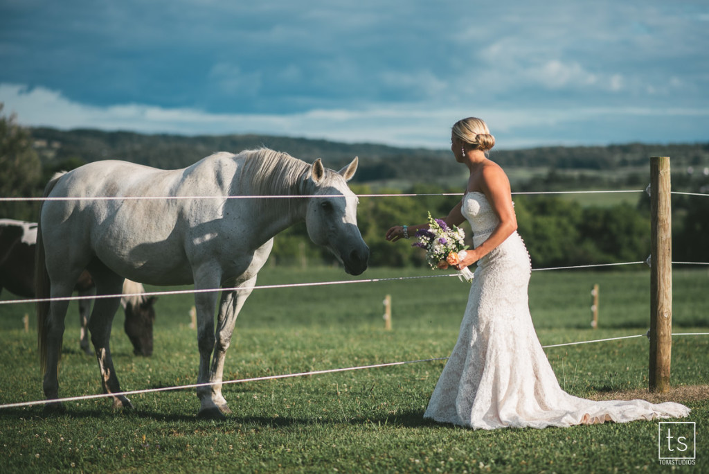 Amy and Mike's wedding at MKJ Farm