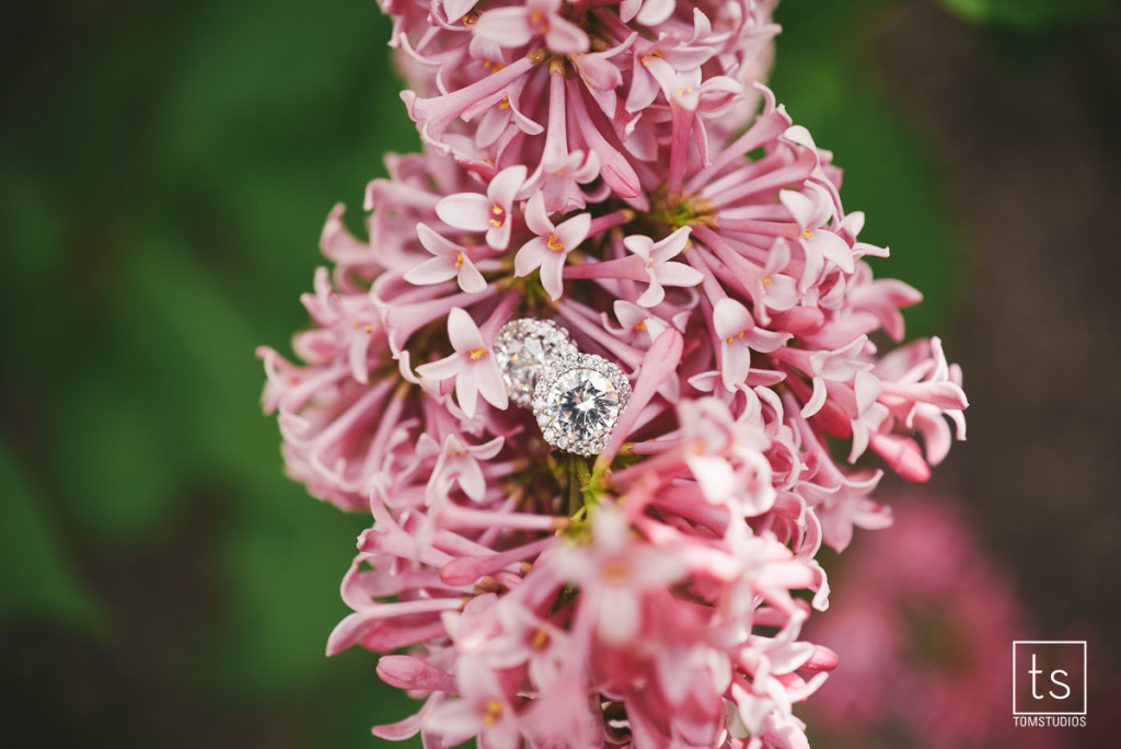 Molly and Drew's Wedding at Teugega Country Club with Tom Studios