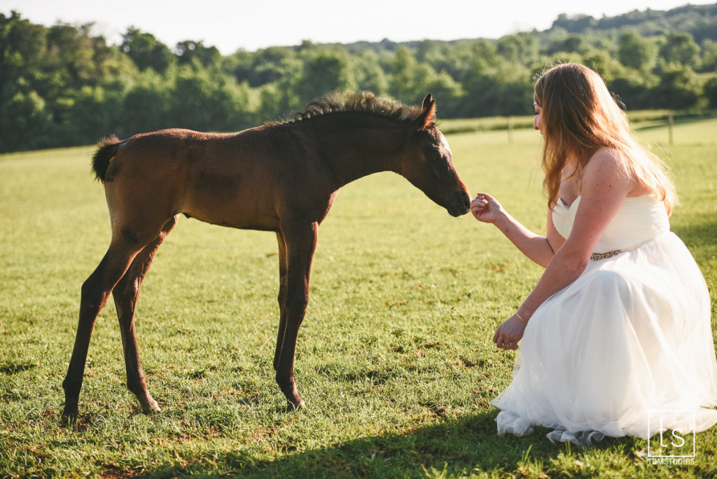 Michelle and Adam's Wedding at MKJ Farm with Tom Studios